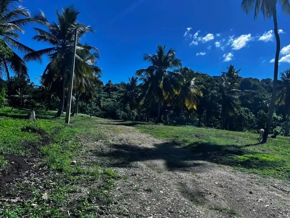 Costruadonais-6