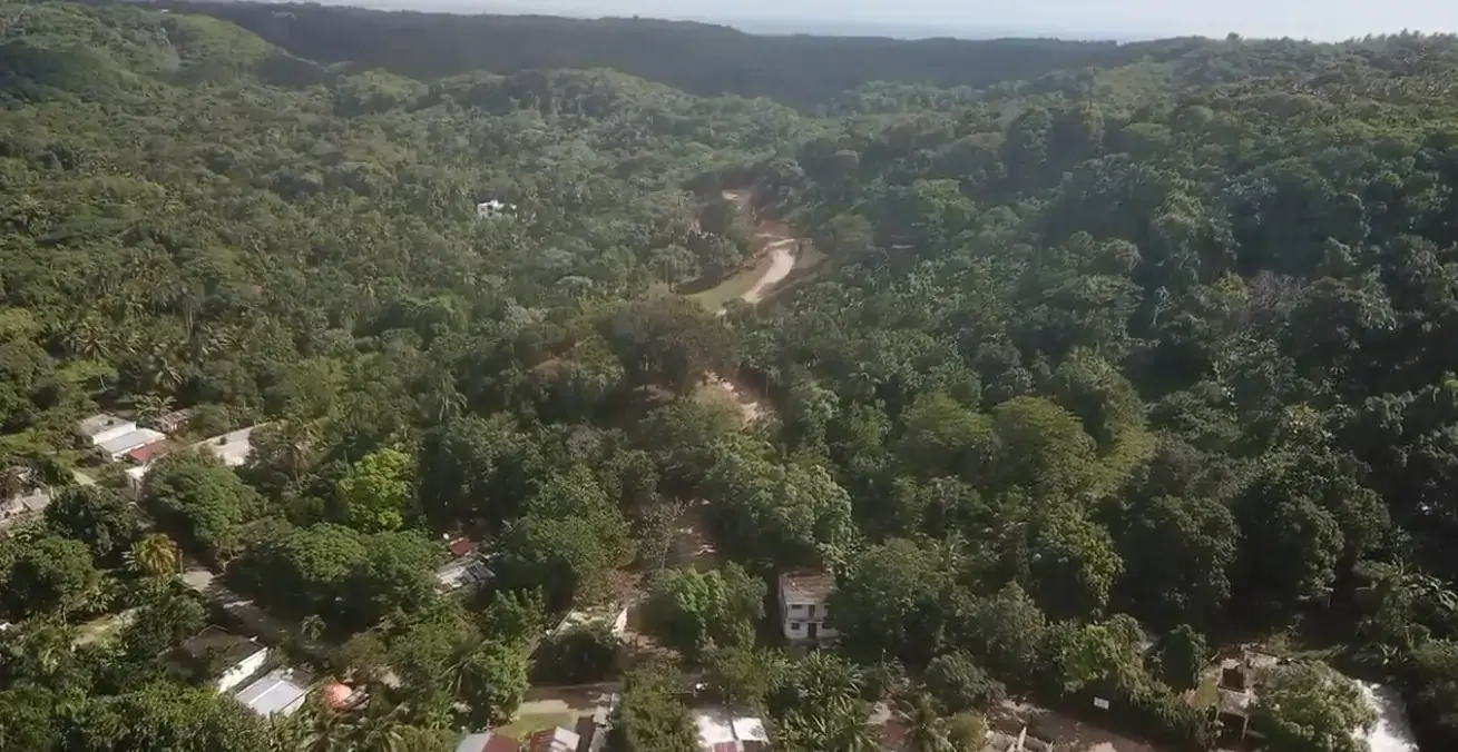 altos-sinai-3 (1)