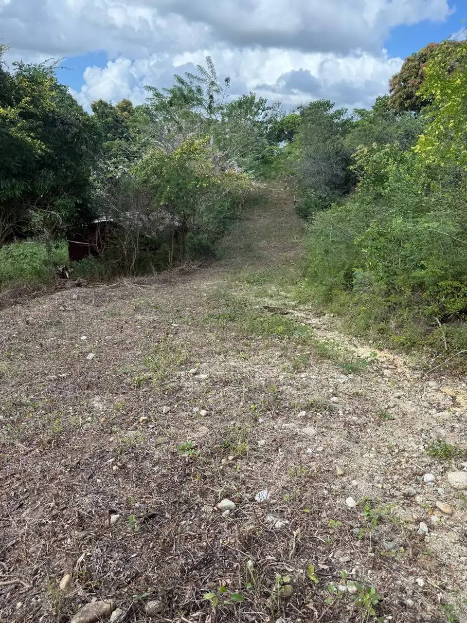 los-morenos-dos-15
