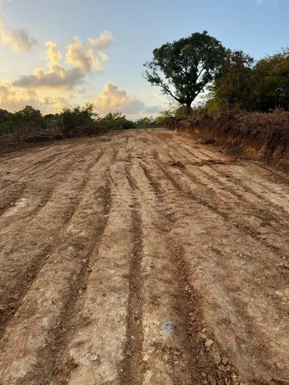los-morenos-dos-17