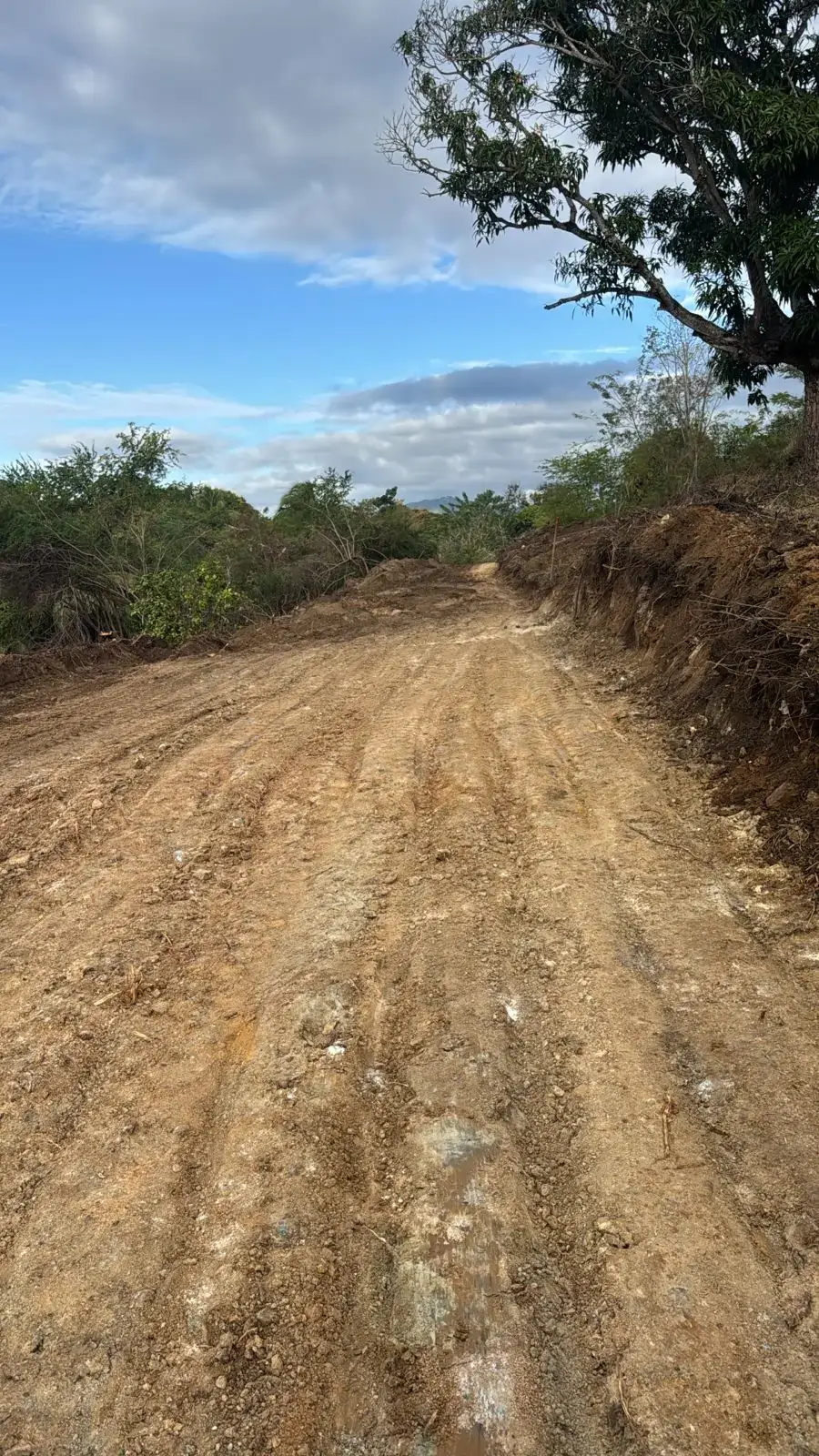 los-morenos-dos-21